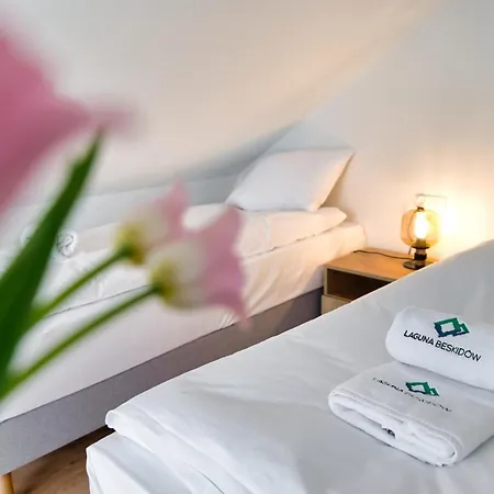 Laguna Beskidów - C56 Zarzecze (Silesia)